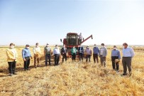 Gaziantep'te Mercimek Hasadı