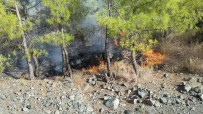 Hatay'da Çıkan Orman Yangınında 2 Hektarlık Alan Zarar Gördü Haberi