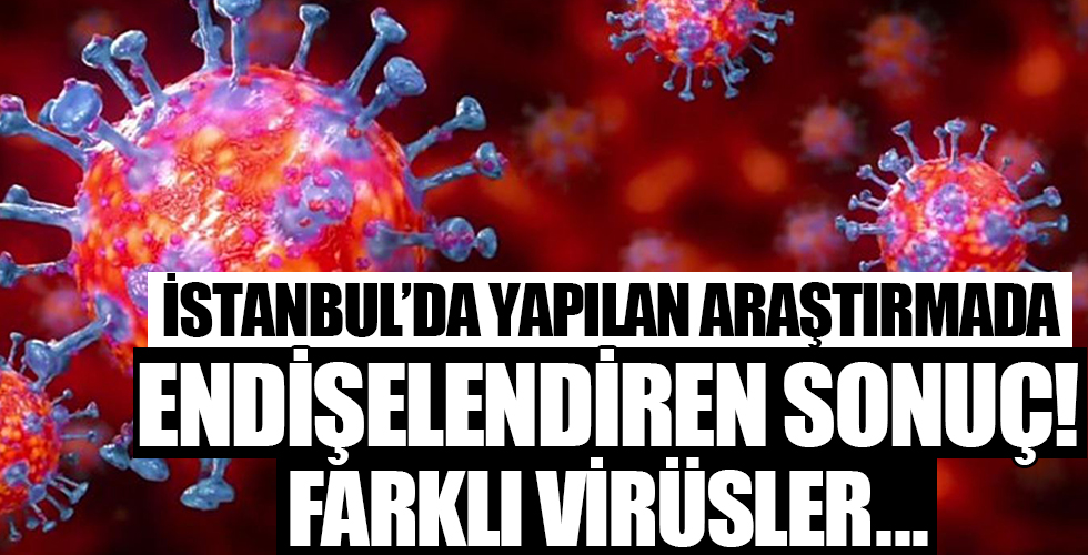 İstanbul'da yapılan araştırmadan endişelendiren sonuç! Farklı virüs...