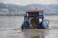 Kocaeli'de Selin Sürüklediği Atıklar İzmit Körfezi'nde Rekoru Getirdi