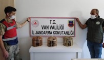 Erciş'te Kafes Avcısına Ceza