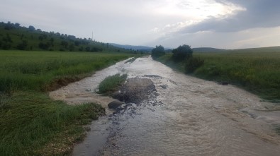 Kastamonu'da 15 Gündür Yağan Dolu Ve Yağmur, Tarım Arazilerini Vurdu