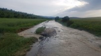 Kastamonu'da 15 Gündür Yağan Dolu Ve Yağmur, Tarım Arazilerini Vurdu Haberi
