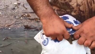 Sel Suları Sürükledi, İznik Gölü Çöplüğe Döndü