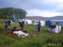 Altıntaş'ta Selin Yaraları Sarılıyor