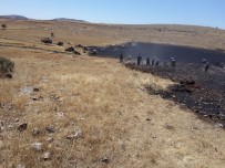 Çınar'da 30 Dönümlük Ekili Arazi Kül Oldu Haberi