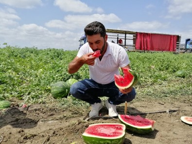 Geçen Yıl Üreticisini Üzen Karpuz Bu Sene Güldürdü