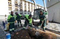 Konak'ta Park Düzenleme Çalışmalarında Yeni Model