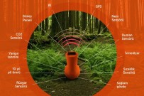 Orman Yangınlarına Karşı Akıllı Orman Kapsülü Geliştirildi