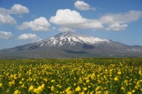 (Özel) Çiçeklerle Renklenen Sütey Yaylası Ve Süphan Dağı'nın Manzarası Hayran Bırakıyor Haberi