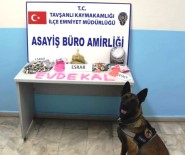 Tavşanlı'da Uyuşturucu Operasyonu