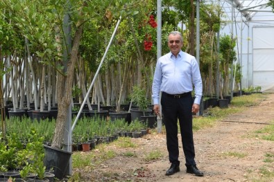 Başkan Esen, 250 Fidan İle Meydan Okudu