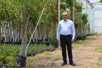 Başkan Esen, 250 Fidan İle Meydan Okudu