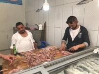 Çirkin Balığa Yoğun Talep