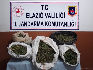 Elazığ'da 2 Bin Rakımda Uyuşturucu Tarlasına Operasyon