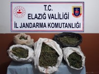 Elazığ'da 2 Bin Rakımda Uyuşturucu Tarlasına Operasyon
