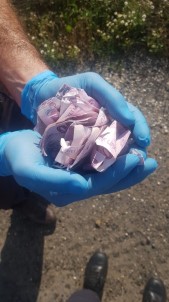 Sahte Para Şebekesine Polis Darbesi