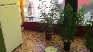 Adana'da Uyuşturucu Operasyonu