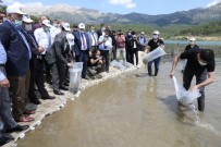 Burdur Aziziye Göletine 10 Bin Aynalı Sazan Bırakıldı