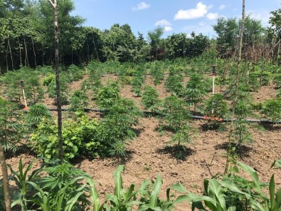 Çarşamba'da Uyuşturucu Operasyonu