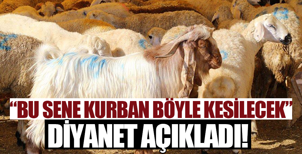 Diyanet açıkladı: Bu sene kurban böyle kesilecek