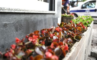 Esenyurt'ta Selde Zarar Gören Çiçeklerin Yerine Yenisi Dikildi