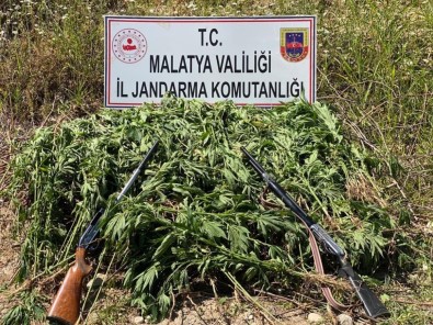 Jandarmadan Kenevir Operasyonu