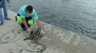 Tuzla'da Atık Problemine Dikkat Çekmek İçin Denizden Çuvallarla Atık Çıkarıldı