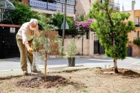 Çeyrek Asırlık Park Gönüllüsü Açıklaması Sami Amca