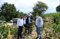 İnegöl'de Sel Mağduru Köylere Tohum Desteği Sağlanacak