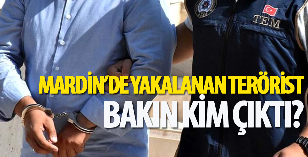 Mardin'de yakalanan terörist bakın kim çıktı?