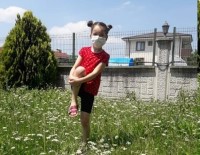 Mehmet Demir İlkokulu E-Twinning Projesine 5 Öğretmen İle Katıldı