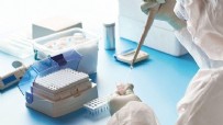 YURT DıŞı - Sağlık Bakanlığı açıkladı! PCR testi ücreti belli oldu