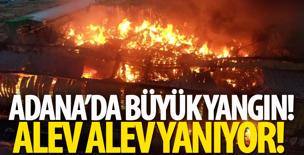 Adana'da nişasta fabrikası alev alev yanıyor