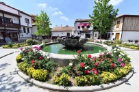 Çiçek Gibi Başkent