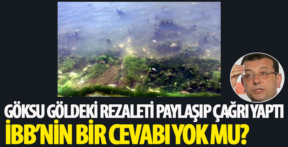 Göksu göldeki rezaleti paylaşıp çağrı yaptı! İBB’nin bir cevabı yok mu?