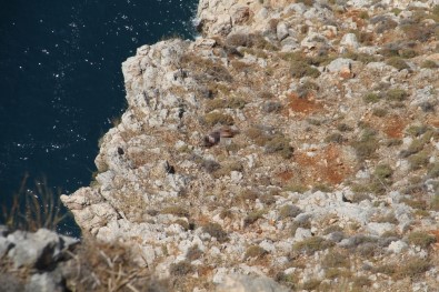 Alanya'da 25 Yaşındaki Kayıp Genç Kayalık Alanda Ölü Bulundu