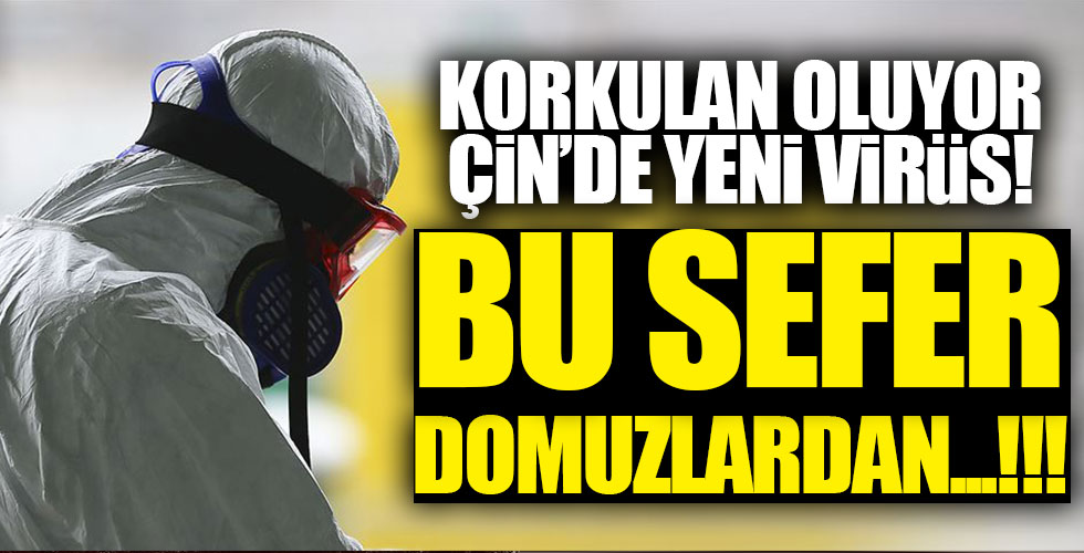 Çin'de yeni virüs paniği!