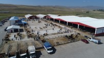 Doğu Anadolu'dan Kurbanlık Sevkiyatları Başlıyor