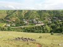 Gerger'in Şamani Mezrası Karantina Altına Alındı Haberi