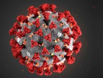 ZOMBİ - Koronavirüsün yeni fotoğrafını paylaştılar!