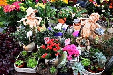 Manisa'da 2. Çiçek Festivali 1 Temmuz'da Başlıyor