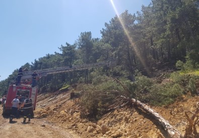 Tunçbilek'te Yangın Büyümeden Söndürüldü