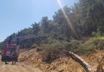 Tunçbilek'te Yangın Büyümeden Söndürüldü