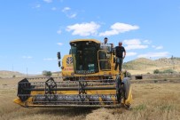 Yahşihan'da Hasat Zamanı