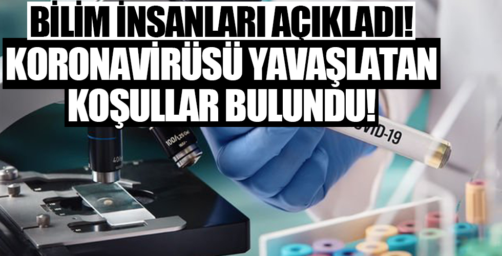 Bilim insanları açıkladı: Koronavirüsü 'yavaşlatan' koşullar bulundu!