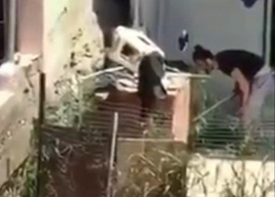 İzmir'de Köpeğe Şiddet Görüntüleri Tepki Çekti