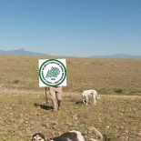 Kaçak Avcılara 7 Bin 536 TL  İdari Para Cezası