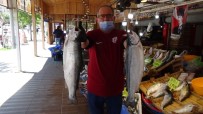 (Özel) Pandemi Sürecinde Balık Satışları Arttı