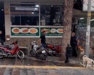 Sokak Köpeğine Sopayla Vuran Şahsa Ceza Yağdı